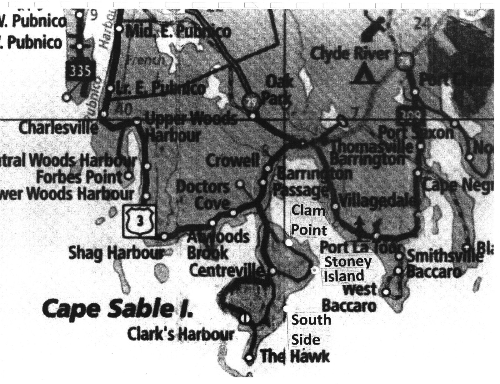 Cover of The Brannens of Barrington Township